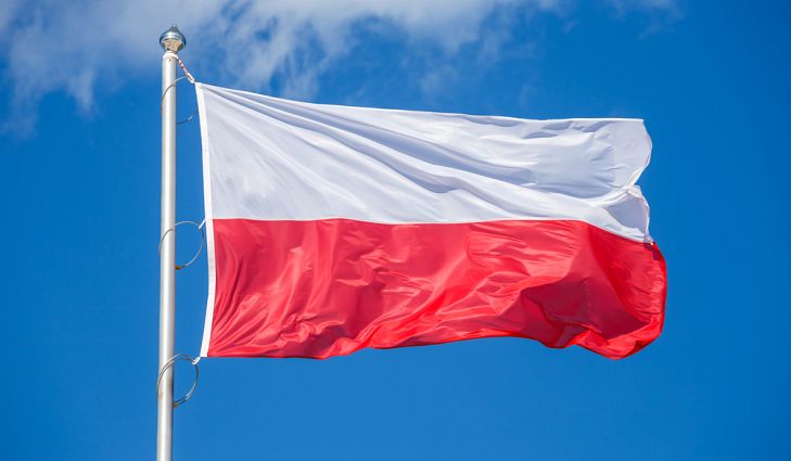 Что и как дешевле купить в Польше? – Bringer UA